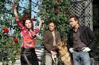 Kommissar Rex – (v.li.) Silvia Wohlmuth (Eva Süß), Elke Winkens (Niki Herzog), Alexander Pschill (Marc Hoffmann).