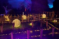 Expedition in die Heimat – Weihnachtsstimmung am Bodensee: Christmas Garden auf der Insel Mainau.