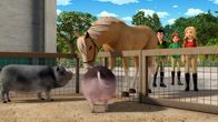 Wendy – Ohje, wie konnte das passieren, dass das Pferd Sultan ausgebüxt ist? Haben Wendy, Jerry und Bianca die Arbeitsanweisungen von Flavio nicht richtig gelesen?