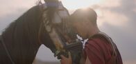 Alexander der Große - Legendärer Eroberer – Antike Chronisten berichten von einer engen Bindung zwischen Alexander und seinem Pferd Bukephalos, das ihn auf seinen Feldzügen begleitete.