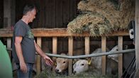 plan b – "Wer nachhaltig Milch & Käse produzieren will, muss auch an die Kälber denken", sagt Franz Berchtold.