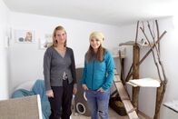 Anna und die Haustiere – In der „Villa Samtpfote“ können Katzen ihren Urlaub verbringen. Nur Tiere, die sich kennen, teilen bei Daniela das Katzenzimmer.