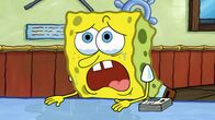SpongeBob Schwammkopf – SpongeBob