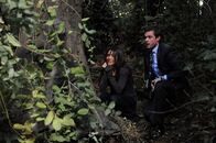Without a Trace - Spurlos verschwunden – Without a Trace - Spurlos verschwunden (2009)