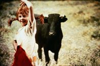Pippi Langstrumpf – Mit einer Toreroeinlage gelingt es Pippi Langstrumpf (Inger Nilsson), den Stier müde zu machen, bevor er dem kleinen Nisse etwas tun kann.