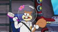SpongeBob Schwammkopf – Sandy