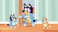 Bluey – L-R: Bluey, Bandit, Bingo