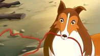 Lassie – In letzter Sekunde kann Lassie die Sprengung des Damms verhindern.