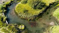 Alpha-Tiere – Lachse müssen sich flussaufwärts kämpfen, springen vorbei an Fressfeinden und Dämmen, bis sie auf ihre Artgenossen beim Paarungskampf treffen.