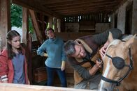 Tiere bis unters Dach – Kajo (Jochen Schropp) untersucht Pirats Auge. Petra (Jana Reinermann, mi.) und Lucy (Paulina Schnurrer, li.) sind besorgt.
