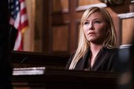 Law & Order: Special Victims Unit – Law & Order: Special Victims Unit (2014)