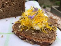 Querbeet ABC – Moderatorin Sabrina Nitsche erklärt im Querbeet Garten, wie Pflanzenvermehrung funktioniert, wie Kräuter angepflanzt und verarbeitet werden, Unkräuter sinnvoll genutzt werden und wie eine dauerhafte Kübelbepflanzung auf Balkon und Terrasse gelingt. An einem Thema werden Tipps und praktische Beispiele gezeigt und dazu Wissenswertes aus der Botanik verständlich erklärt. Einfach zum Nachmachen - auch für Nicht-Gärtner*innen.