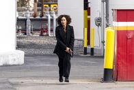 FBI: Most Wanted – Sheryll Barnes (Roxy Sternberg)