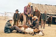 Die Cowboys – Bevor sie die Viehherde von Wil Andersen (John Wayne, Mi.) durch die Wüste treiben dürfen, müssen die jungen Rekruten von der nächstgelegenen Schule ihr Talent mit dem Lasso beweisen.