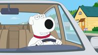 Family Guy – Brian Griffin