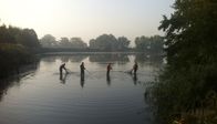 Frühmorgens – Rund drei Tonnen Karpfen holen die Fischer mit ihren Zugnetzen allein aus diesem Teich.