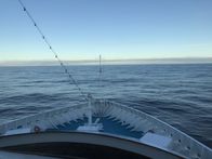 Verrückt nach Meer – Das Kreuzfahrtschiff "Grand Lady" überquert den Atlantik, auf dem Rückweg von Kanada nach Europa, nach 44 Tagen "Indian Summer"-Reise entlang der Ostküste Kanadas und der USA.