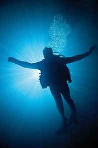 Sanctum – Ein Forschungsteam begibt sich auf eine Expedition in das größte und unzugänglichste unterirdische Höhlensystem der Welt. Ein tropischer Sturm zwingt sie immer tiefer einzudringen und bald sind große Teile des Kaverneneingangs geflutet ...