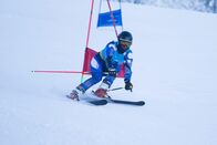 Ski alpin: Weltcup – Giant slalom