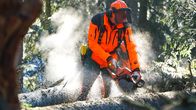 Hoagascht – Forstarbeiter arbeitet im Wald