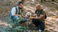 Zu Tisch ... – Zu Tisch Meteora – Griechenland Nikos und sein Cousin loben den erfolgreichen Trüffelhund Hermes Copyright: SRF/Marina Funck