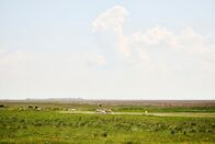 Ostrowski macht Urlaub – Landschaft mit weißen Eseln