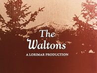 Die Waltons – Die Waltons sind wieder da!