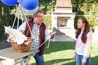 Modern Family – Modern Family (2020)