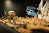 Aufgedeckt - Rätsel der Geschichte – Dr. Charlotte Roberts untersucht ein Skelet