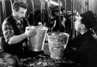 Don Camillo und Peppone – Manchmal müssen Don Camillo (Fernandel) und der grantige Peppone (Gino Cervi) eben doch zusammenarbeiten: zum Beispiel im Kuhstall.