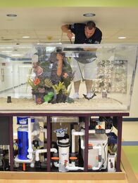 Die Aquarium-Profis – Wayde working on the inside of the tank.