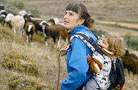 Das Schicksal der Schäfer – Lorena Genzor treibt mit ihrem Sohn die Schafherde auf die Weide.