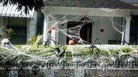 Hawaii Five-0 – Das Team beschäftigt sich an Halloween mit einem Serienmörder, der Morde aus Kultfilmen nachahmt ...