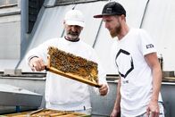 Hoagascht – Die Imker Alfred Hauska (weiße Cappy) und Dominik Kussegg überprüfen die Bienenwaben ihrer Bienenstöcke auf dem Rathausdach in Wien
