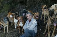 Der Hundeflüsterer – Er nimmt sich jedem noch so schwierigen Hund an: Cesar Millan ...