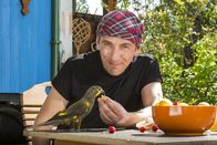 Löwenzahn – Ein Papagei ist Fritz Fuchs (Guido Hammesfahr) zugeflogen. Woher kommt er bloß? Der Braun-Lori spricht sogar, er nennt sich "Räuber".
