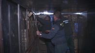 Border Control - Spaniens Grenzschützer – Auf dem Rollfeld des Airports in Madrid wird eine Maschine für den Abflug nach Peking vorbereitet, aber kurz vor dem Start tritt dort die Guardia Civil auf den Plan. Denn ein Passagier hat im Gestänge seiner Koffer nicht deklarierte Banknoten versteckt. Die Zöllner beschlagnahmen in der spanischen Hauptstadt Bargeld in Höhe von 118 000 Euro. Und im Hafen von Algeciras weckt ein leerer, unverplombter Lkw das Interesse der Grenzschützer. Ein Spürhund schlägt an, daraufhin nehmen die erfahrenen Beamten das verdächtige Fahrzeug genau unter die Lupe.