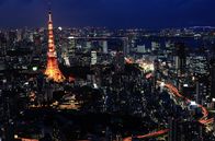 Wildes Japan - Land der tausend Inseln – Tokyo Tower bei Nacht