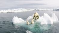 Die Reise der Eisbären – Eisbärenmutter mit Jungtieren auf einer Eisscholle