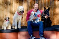 Der Hundetrainer - Lucky Dogs – Brandon McMillan