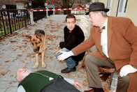 Kommissar Rex – 55 UHR.