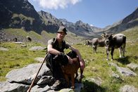 Expeditionen: Zu Tisch ... – Martin Scheiber, Hirte auf der Sultalalm im Ötztal mit Tiroler Grauvieh.