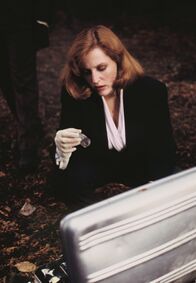 Akte X - Die unheimlichen Fälle des FBI – Dana Scully (Gillian Anderson)