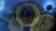Strip the Cosmos - Im Innersten des Universums – Die vermutlich massereichste Struktur im Universum wurde mit dem Projekt Baryon Oscillation Spectroscopic Survey, kurz BOSS, entdeckt. Deshalb nennt man sie die "BOSS Große Mauer".