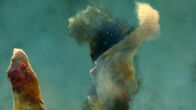 Strip the Cosmos - Im Innersten des Universums – The "Pillars of Creation" from the Eagle Nebula.