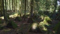 Lost Places – In der Eifel, an der Grenze zu Belgien, führt eine Linie aus "Drachenzähnen" mitten durch den Wald. Es sind die Panzersperren des Westwalls.