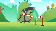Wolf – Beim Hürdenlaufen sammelt Wolf keine Punkte.