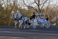My Big Fat Gypsy Wedding – My Big Fat Gypsy Wedding (2014)