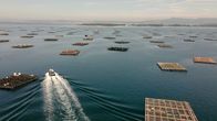 Maritimes Erbe – In der Ria de Arousa werden Muscheln gezüchte und in den weiten Sandbänken der Ria de Arousa ausgesetzt und Jahre später geerntet.