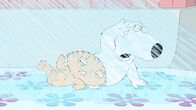 Family Guy – Sa, 10.10., 14:55 Uhr